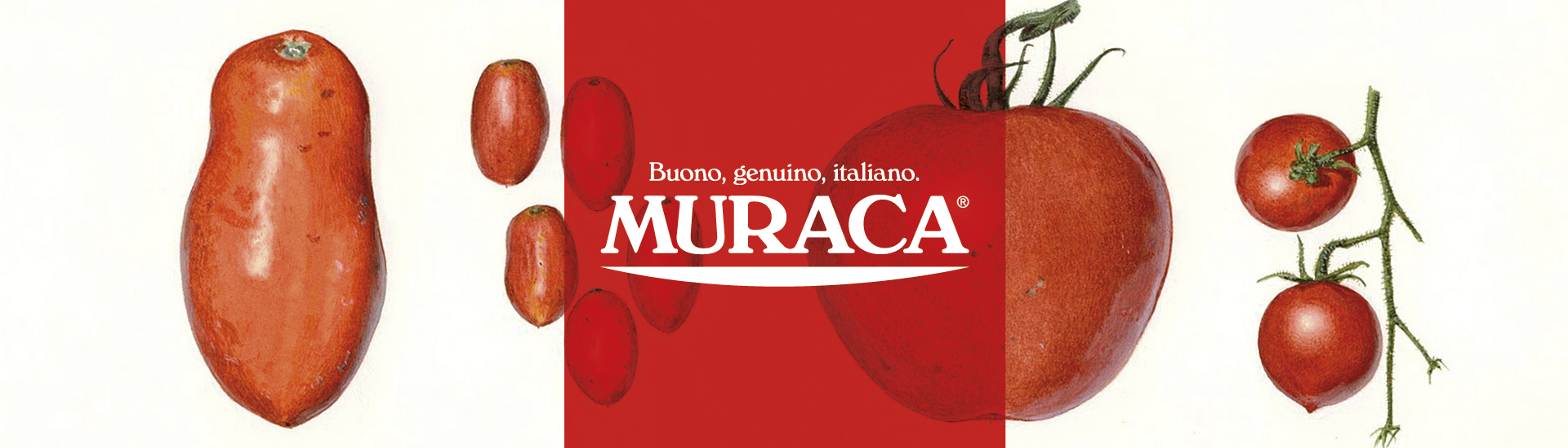 logotipo Muraca